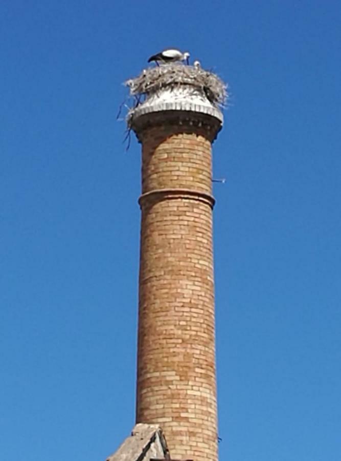 Casa Magica Olhao