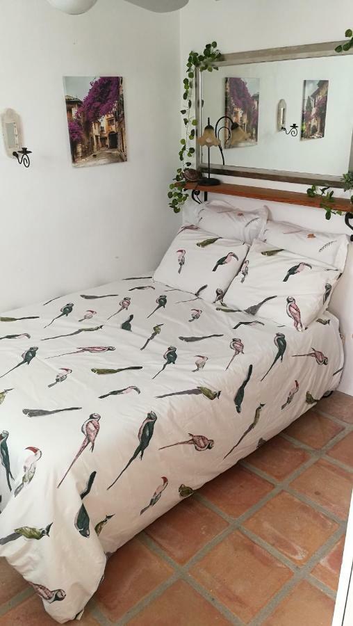 Casa Magica Holiday home Olhao